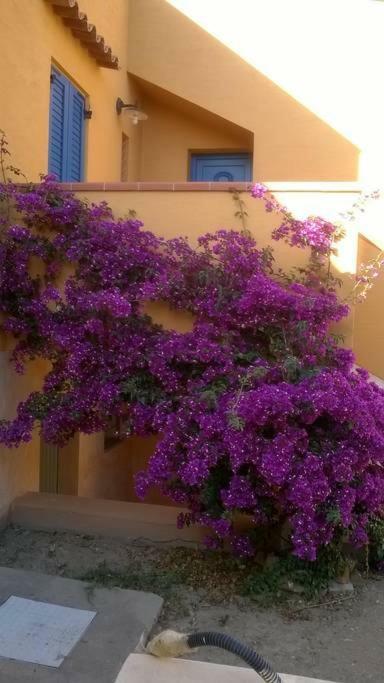 Vila Casa Sa Ide Torre dei Corsari Exteriér fotografie